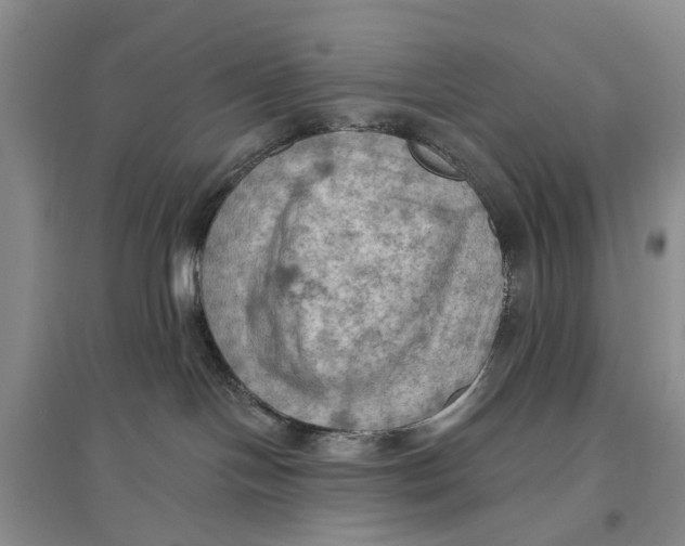 X0000096680094200802261526
