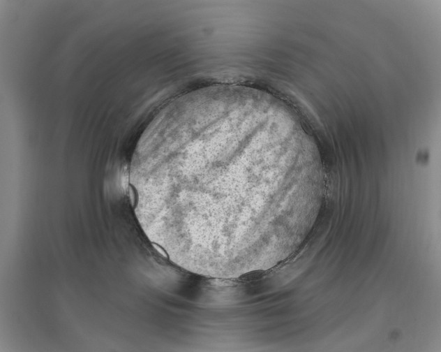 X0000096680095200802261526
