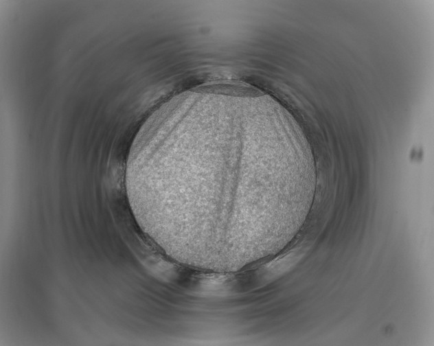 X0000096680096200802261526