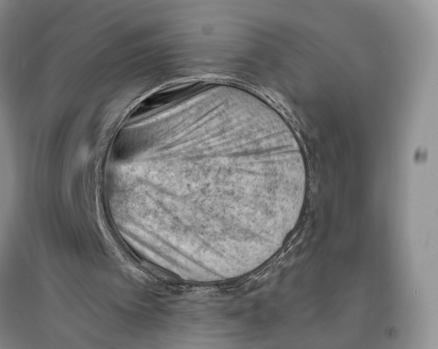 X0000096680097200802261526
