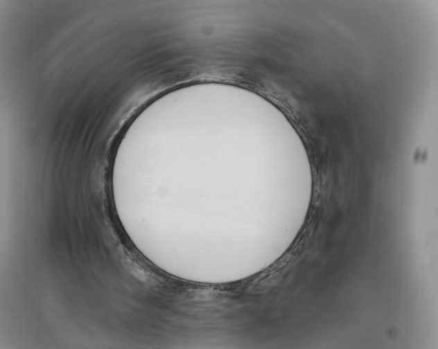 X0000096680098200802261526