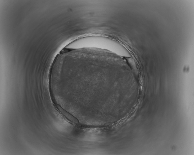 X0000096680100200802261526