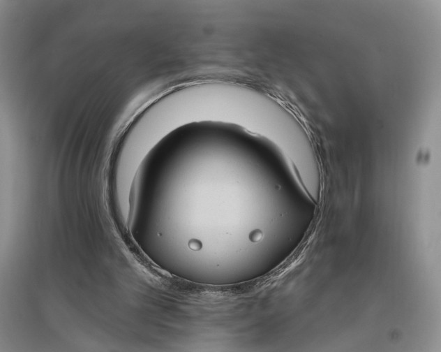 X0000096680101200802261526