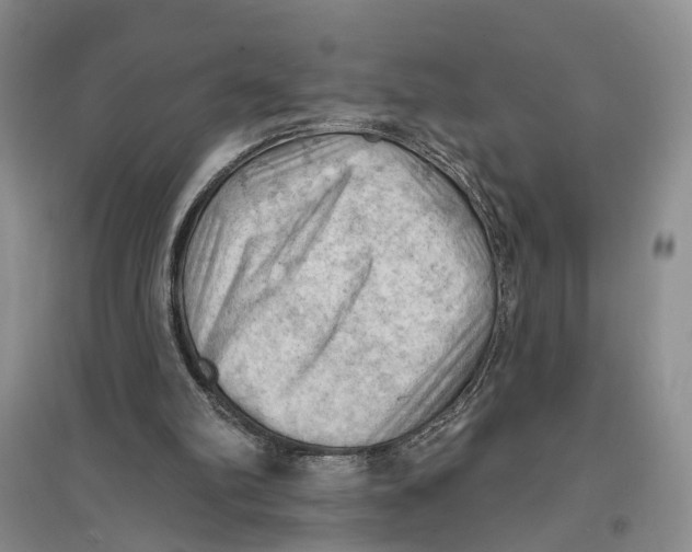 X0000096680102200802261526