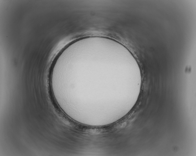 X0000096680103200802261526