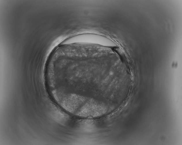 X0000096680104200802261526