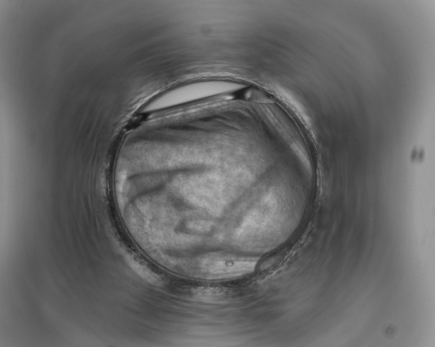 X0000096680105200802261526