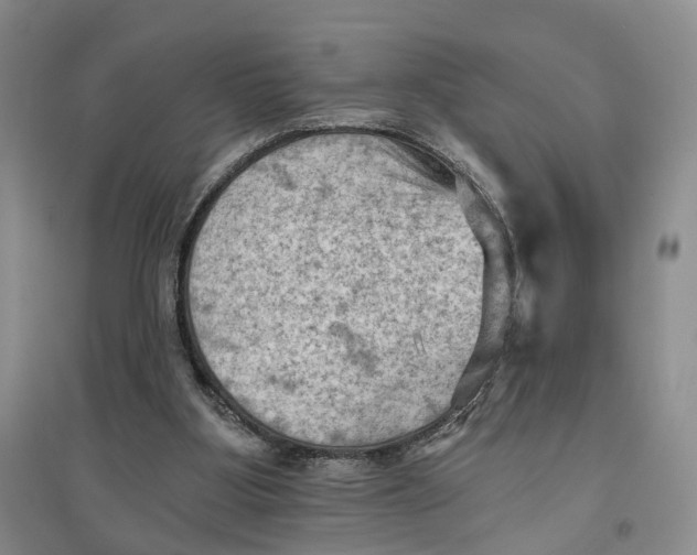 X0000096680107200802261525