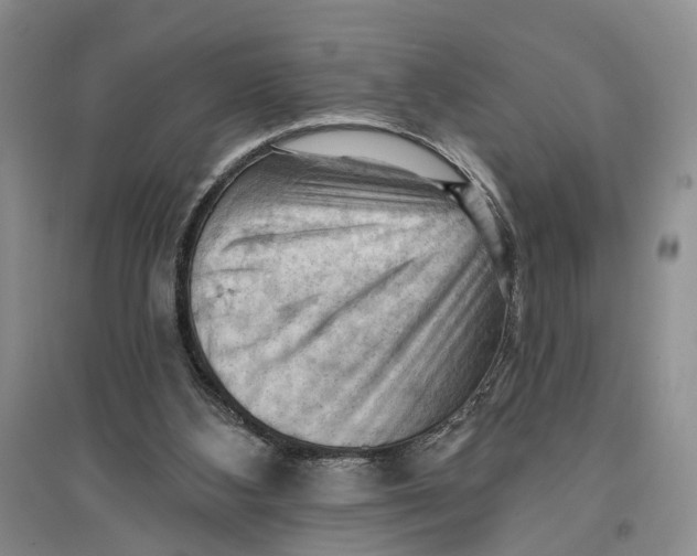 X0000096680108200802261525