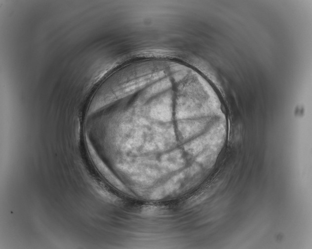 X0000096680109200802261525
