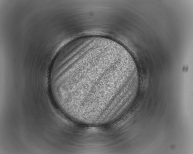 X0000096680111200802261525