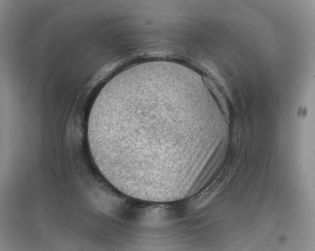 X0000096680116200802261525