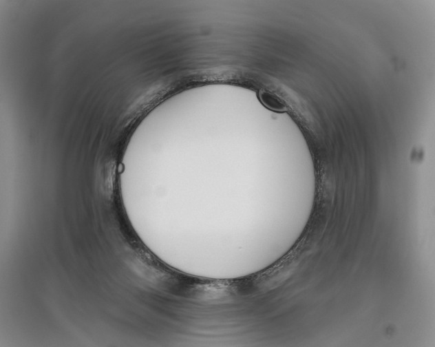 X0000096680118200802261525