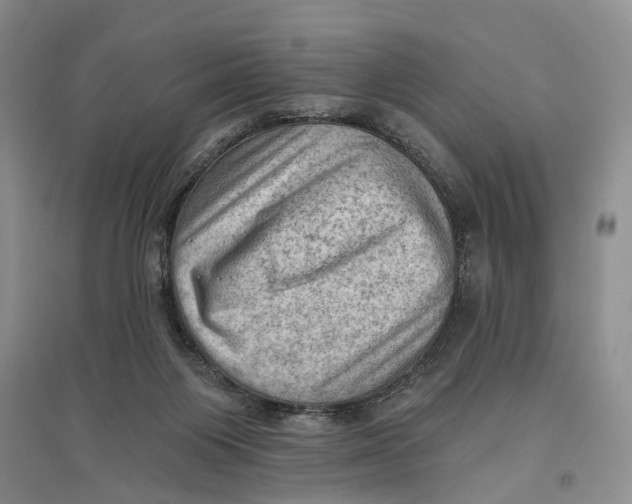 X0000096680119200802261525
