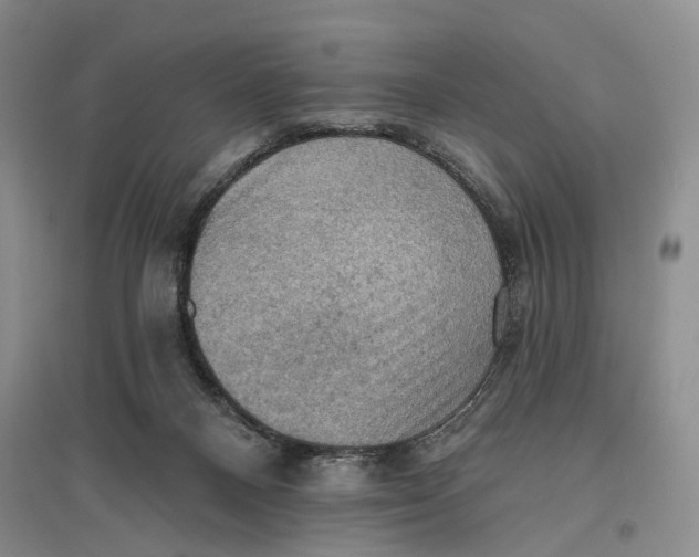 X0000096680120200802261525