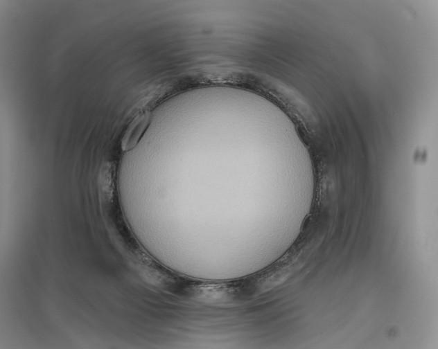 X0000096680121200802261525