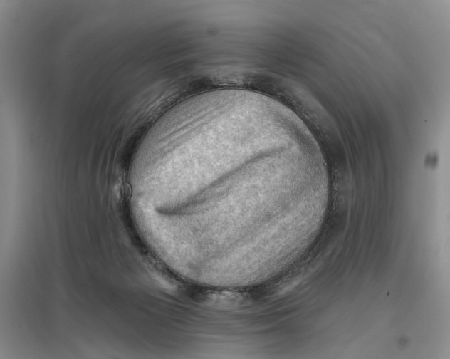 X0000096680125200802261525