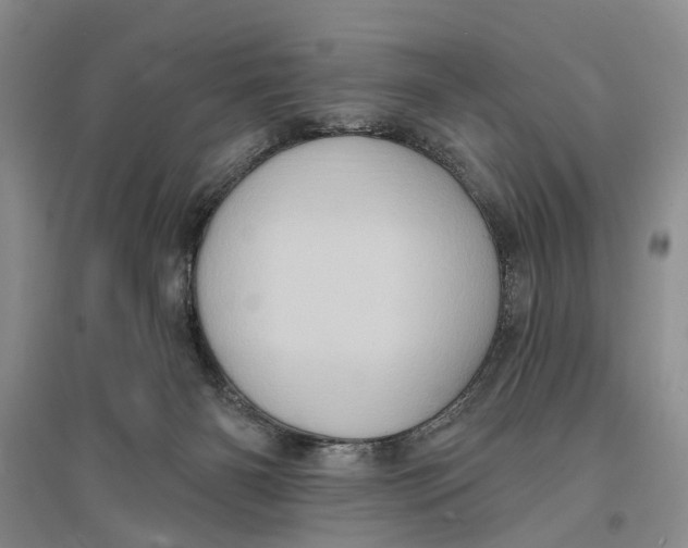 X0000096680126200802261525