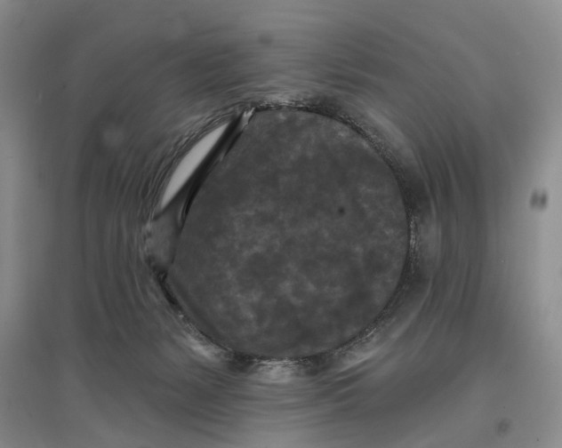 X0000096680127200802261525