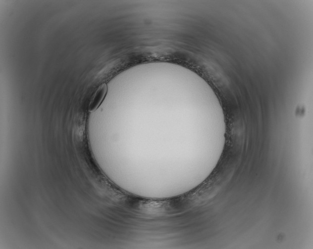 X0000096680129200802261525