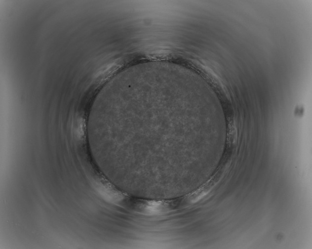 X0000096680130200802261525