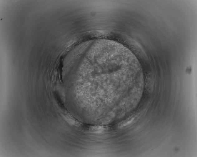 X0000096680131200802261525