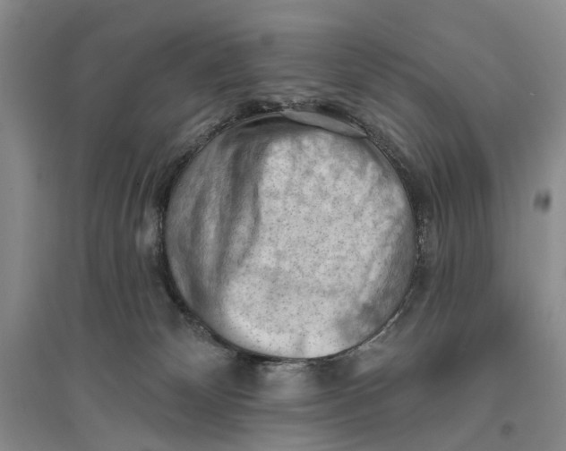 X0000096680132200802261525