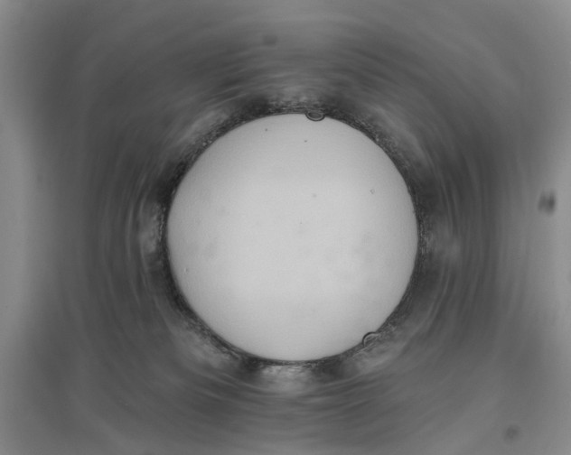 X0000096680133200802261525