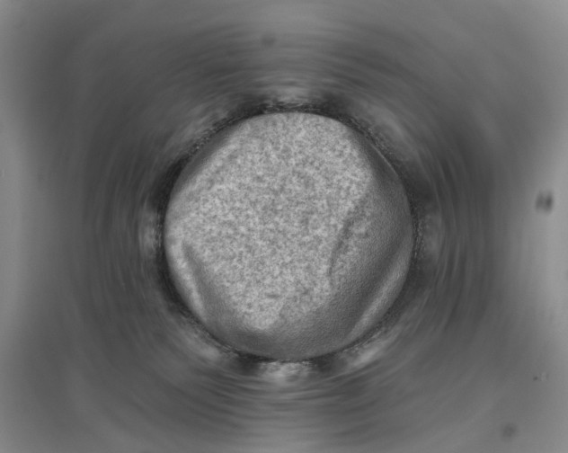 X0000096680135200802261525