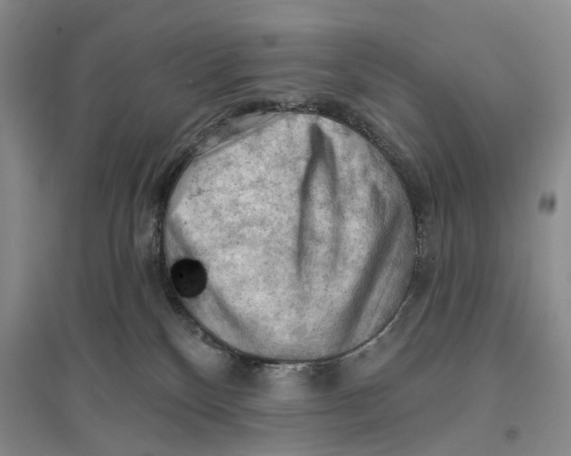X0000096680136200802261525
