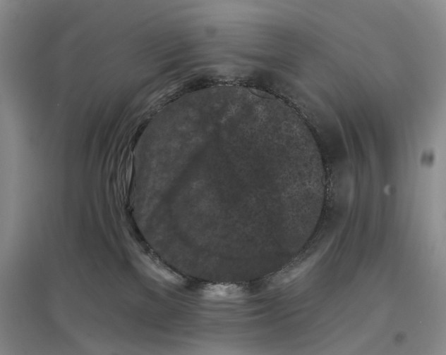 X0000096680137200802261525
