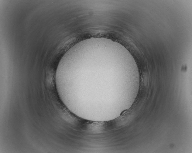 X0000096680138200802261525