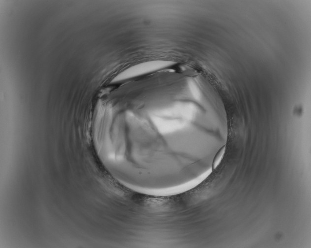 X0000096680139200802261525