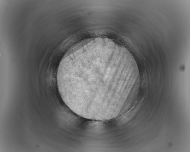 X0000096680140200802261525