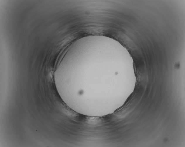 X0000096680141200802261525