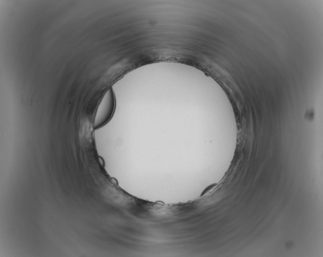 X0000096680142200802261525