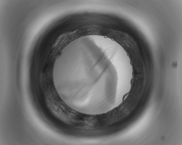 X0000096680143200802261525