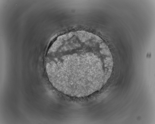 X0000096680144200802261525