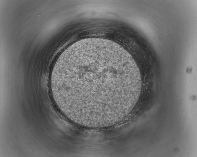 X0000096680146200802261524