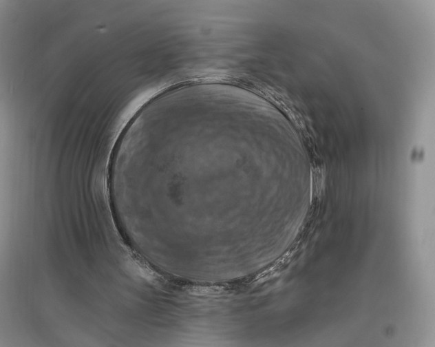X0000096680147200802261524