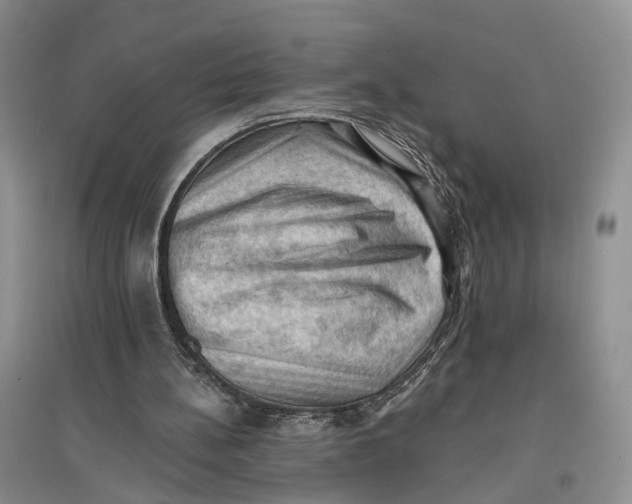 X0000096680148200802261524