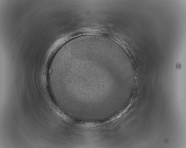 X0000096680149200802261524