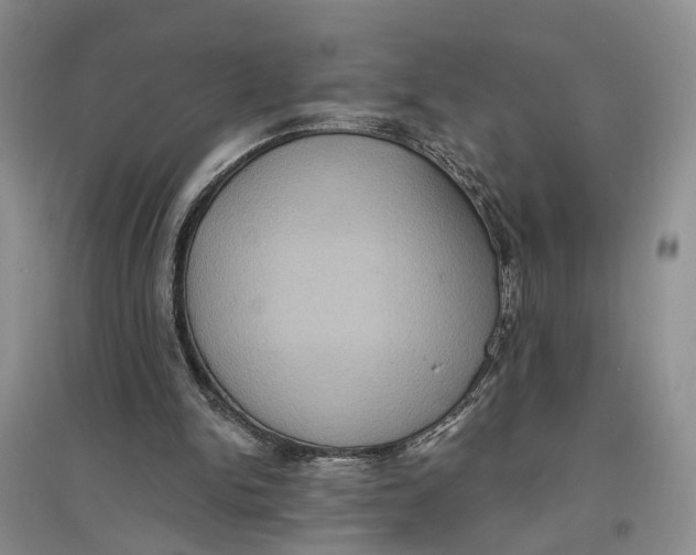 X0000096680150200802261524