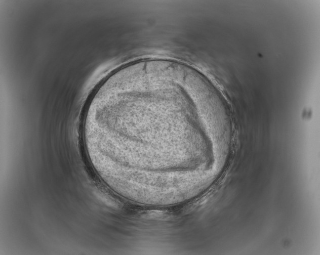 X0000096680151200802261524