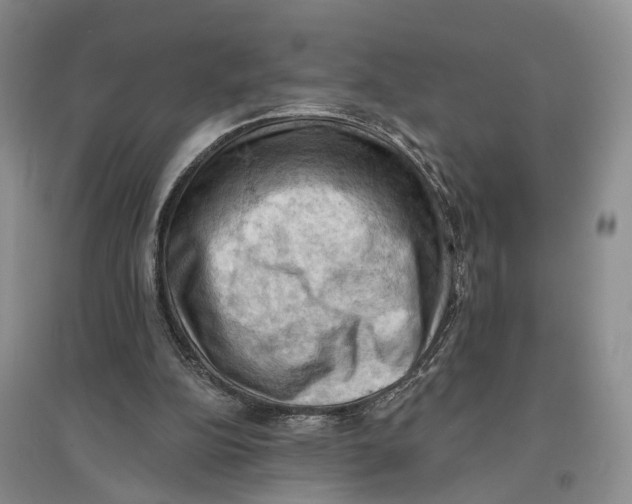 X0000096680152200802261524