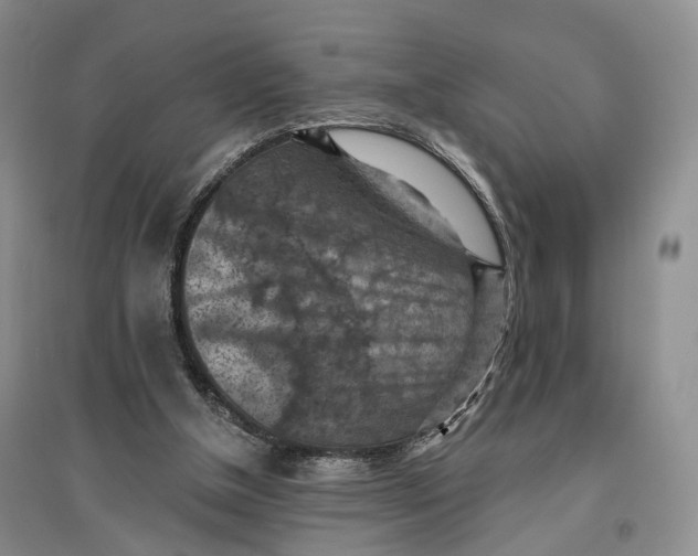 X0000096680154200802261524
