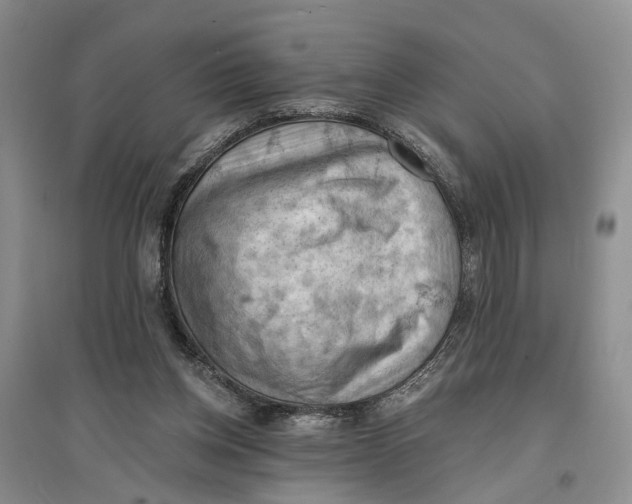 X0000096680158200802261524
