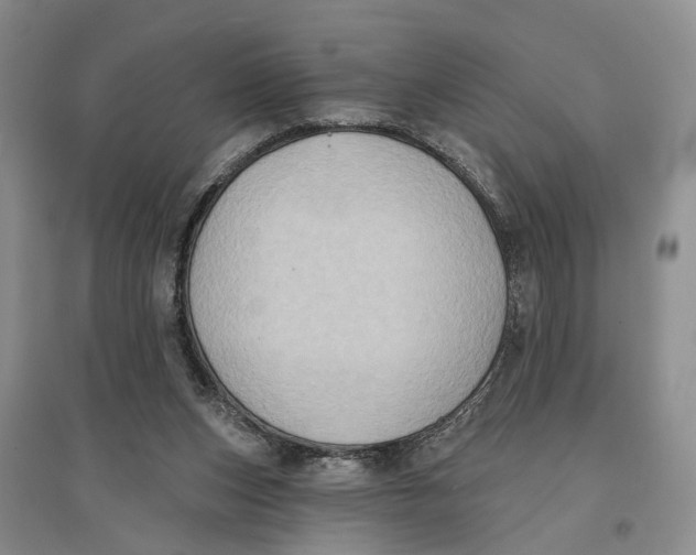 X0000096680159200802261524