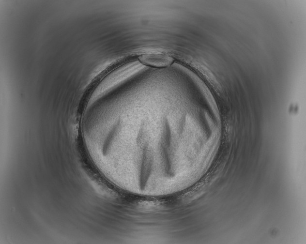 X0000096680160200802261524