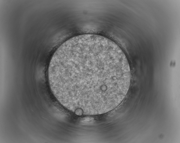 X0000096680162200802261524